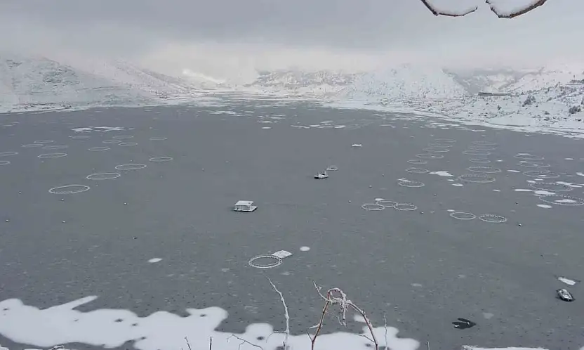 Adıyaman'da Çat Barajı'nın yüzeyi buz tuttu