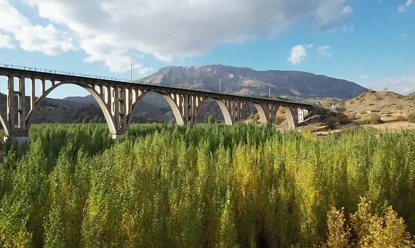 Alman Köprüsü'nün etrafında renk cümbüşü