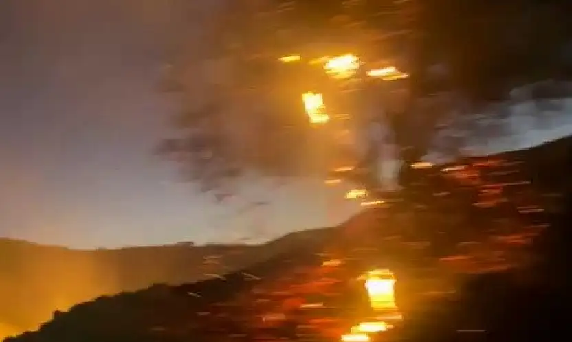 Anız yangını bahçeye sıçradı