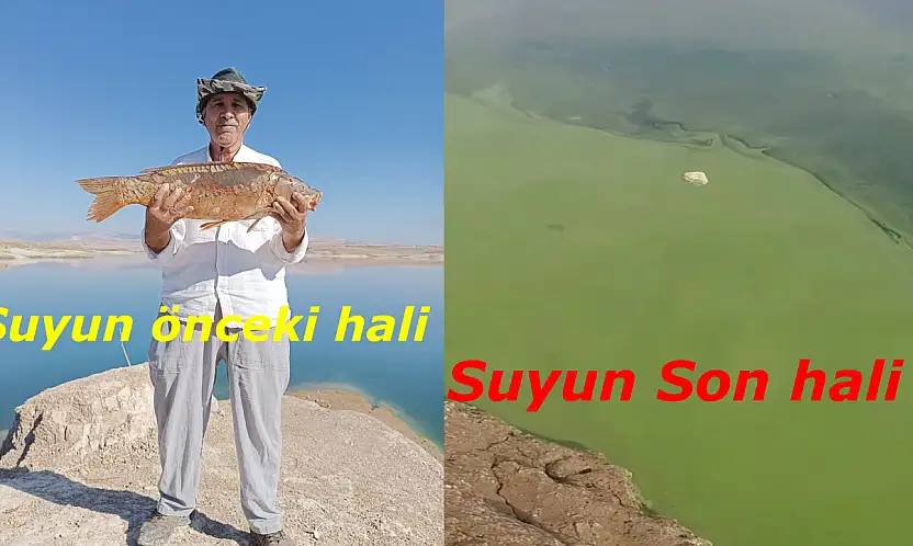Balık avlamaya gitti hayatının şokunu yaşadı: Atatürk barajında neler oluyor?