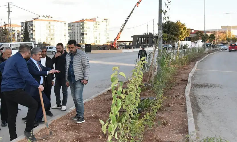 Besni Belediyesi orta refüjlerde çit bitkisi ekimi yaptı