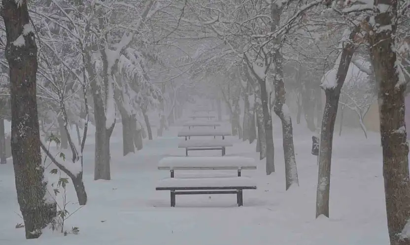 Besni'de kar yağışı ilçeyi beyaza bürüdü