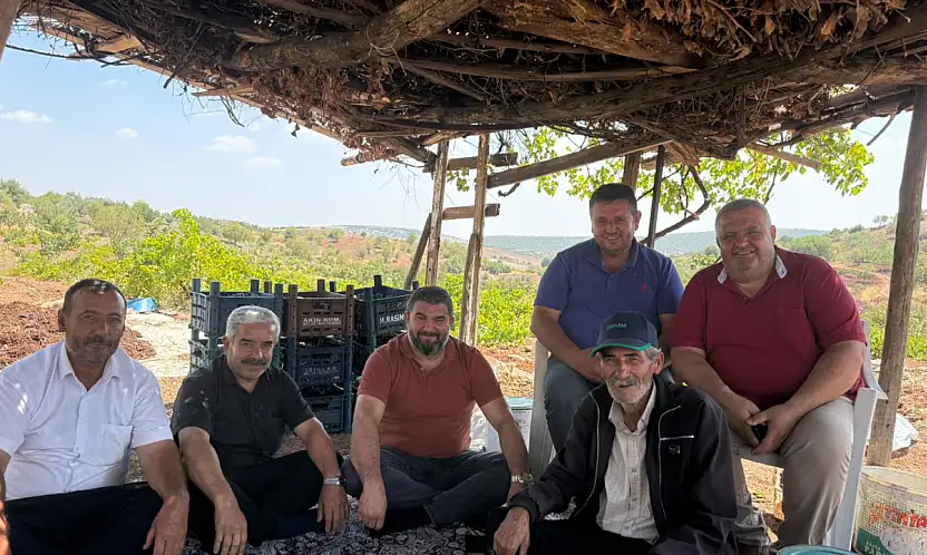 Besni'de üzümler kurumaya bırakıldı