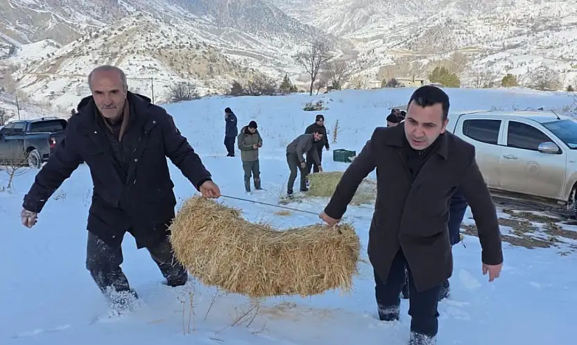 Kaymakam Algın görevlilerle birlikte doğaya yem bıraktı