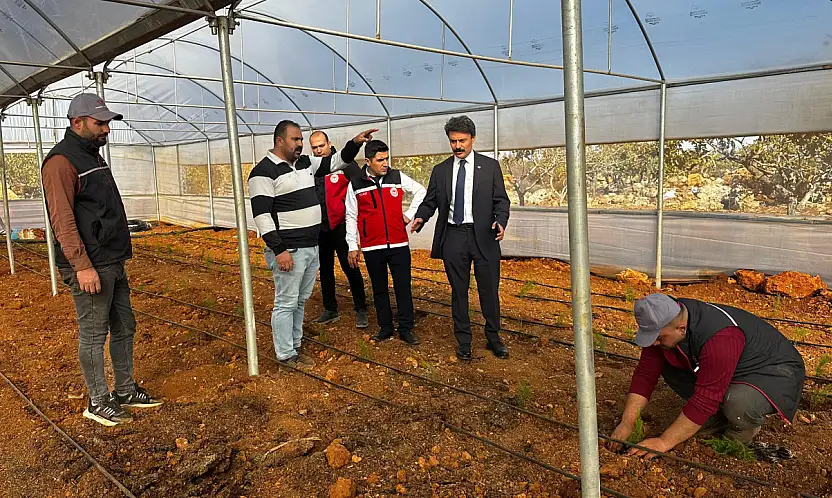 Kaymakam Aslan Köseceli'de sera üretim alanını ziyaret etti
