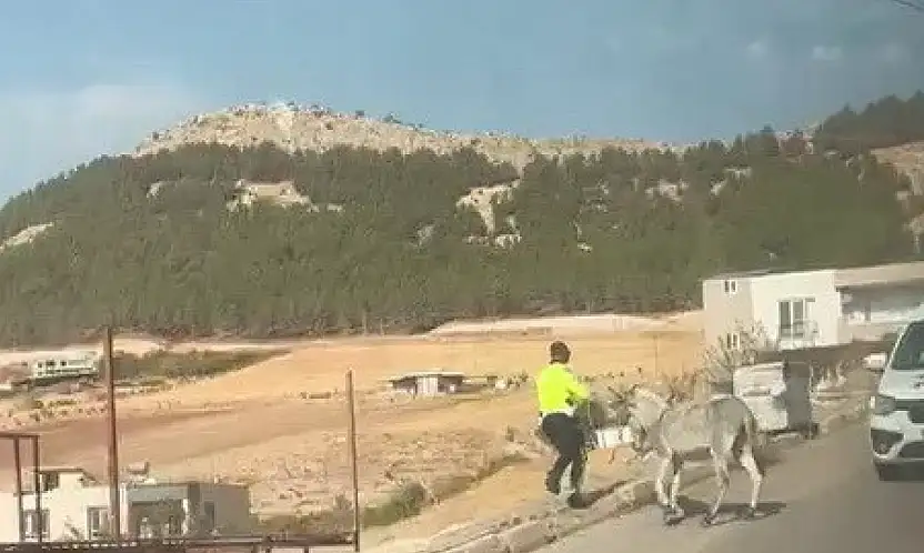 Kazaya davetiye çıkaran eşeğe polis müdahale etti