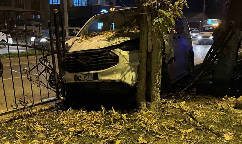 Kontrolden çıkan minibüs, refüjdeki ağaca çarparak durabildi