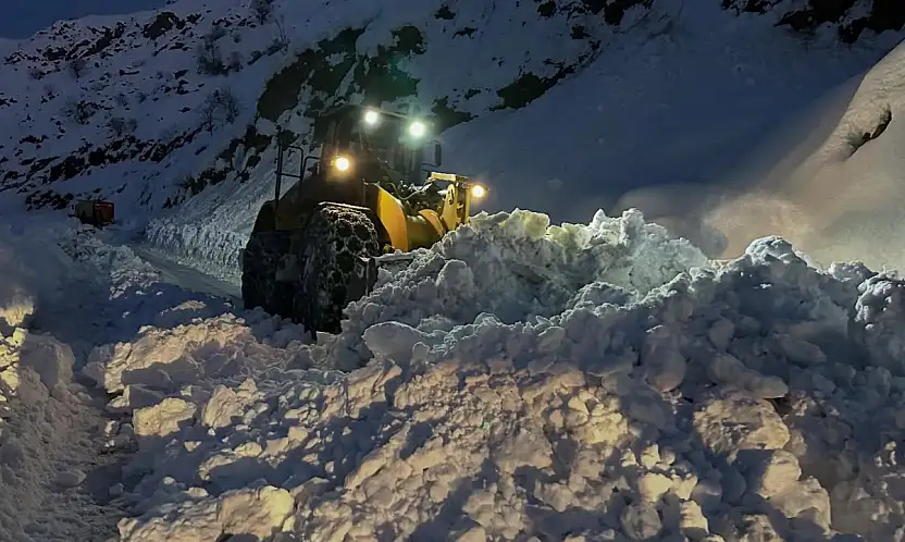 Meteorolojiden Adıyaman'a uyarı: Kuvvetli Kar yağışı bekleniyor