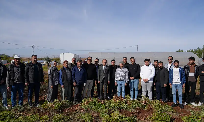 Rektör Keleş Üniversite tarafından üretilen yer fıstığı hasadına katıldı