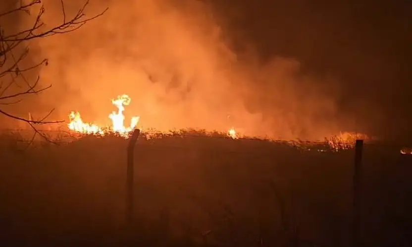 Sülüklü Göl'de kamışlar alev aldı