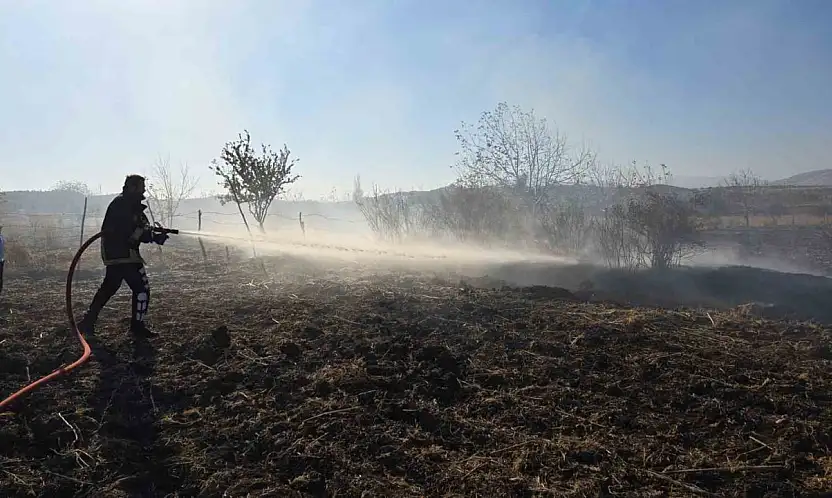 Tarlada çıkan yangın söndürüldü