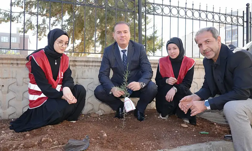 Tosun, Türkiye Yeşeriyor, Gazze Güçleniyor Fidan dikim etkinliğine katıldı