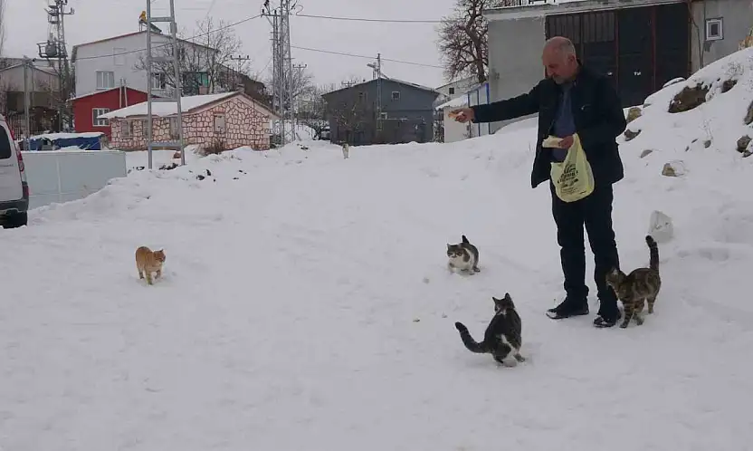 Yaklaşık 2 bin nüfuslu köyde kışın sadece bir aile yaşıyor